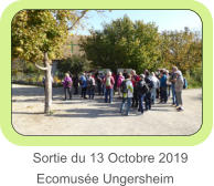 Sortie du 13 Octobre 2019  Ecomusée Ungersheim